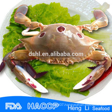 HL004 BQF Frozen Crab on sale HACCP